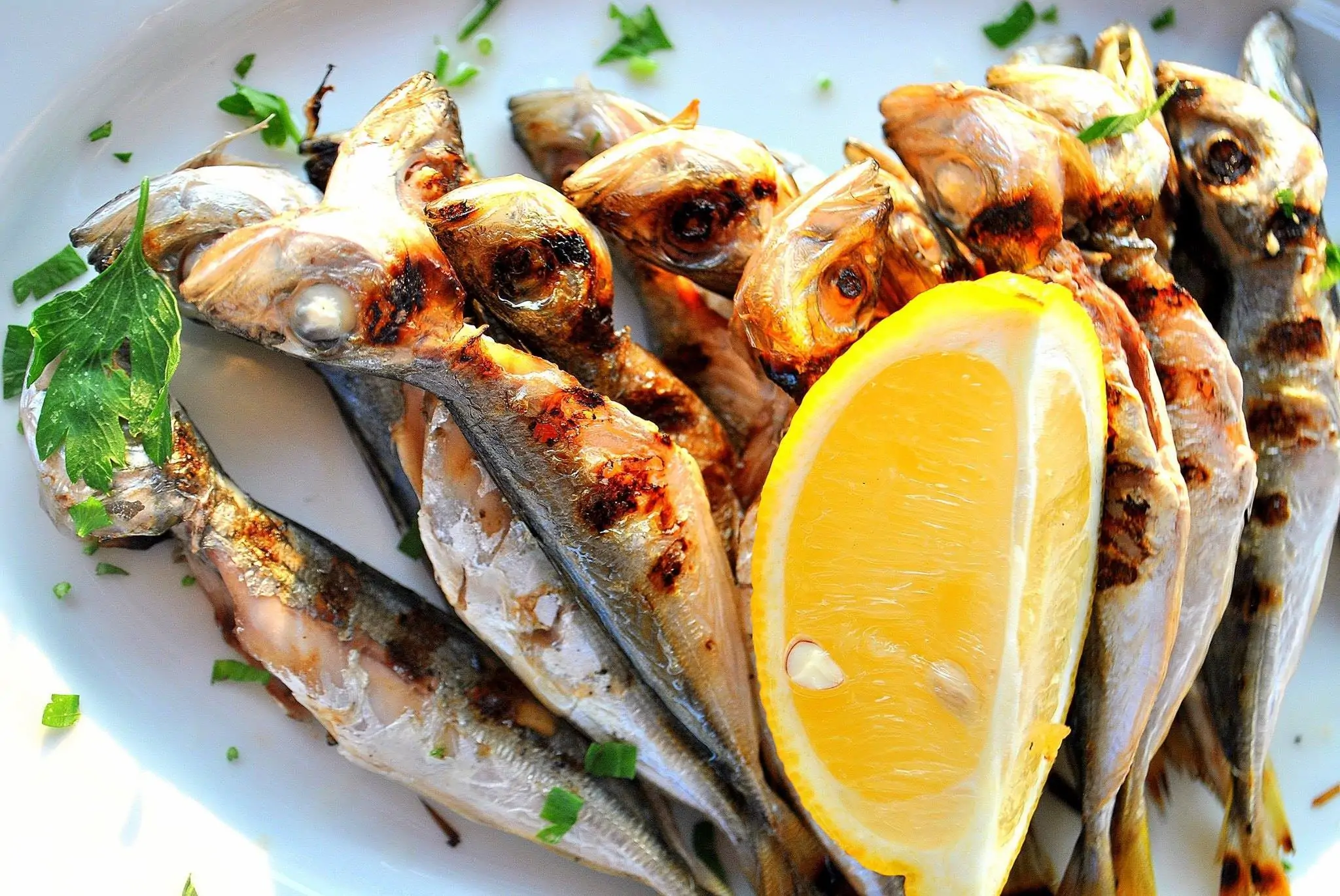 Stavrid de Marea Neagră 300g